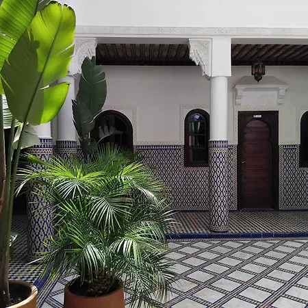 Riad Yakimour-3